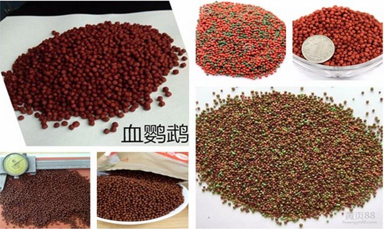 fish feed sample